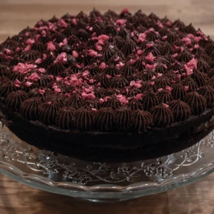 Vegaaninen suklaa vadelmakakku kuva